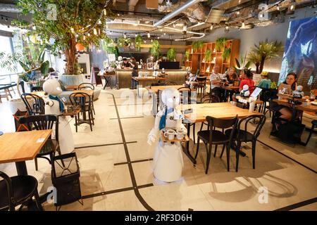 DAWN AVATAR ROBOT CAFE TOKYO Foto Stock