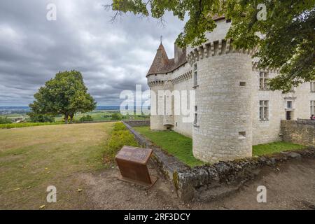 Castello di Monbazillac (Chateau de Monbazillac) vicino a Bergerac, dipartimento della Dordogna, Aquitania, Francia Foto Stock