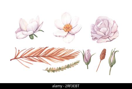 Rosa rosa rosa, ortensia, foglie di palma tropicale secche. Collezione isolata di modelli floreali ad acquerello pastello per ghirlande nuziali e cornici per bouquet Foto Stock