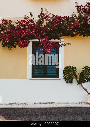 Facciata tradizionale casa in pietra gialla con finestra con persiane verdi e vari fiori decorano le pareti della casa nella città vecchia. Foto Stock