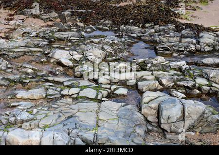 Piscine rocciose e alghe marine in formazioni rocciose vulcaniche in una posizione sul mare Foto Stock