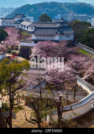 Vista aerea del castello di Himeji nella stagione primaverile della fioritura dei ciliegi, Hyogo, Giappone Foto Stock
