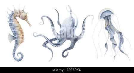 Animali marini. Illustrazione ad acquerello con cavallucci marini, meduse e polpo su sfondo isolato. Disegno della vita marina con cavallo di mare nei colori blu pastello e arancione. Schizzo della fauna selvatica dell'oceano. Foto Stock