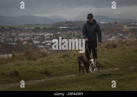 Vista della città con le colline del Lake District National Park sullo sfondo, a Workington, in Inghilterra, il 5 novembre 2019. Foto Stock