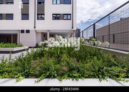 Piante con fiori bianchi in un vaso nelle aree comuni di uno sviluppo abitativo residenziale Foto Stock