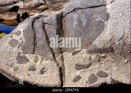 Lamprophyres xenoliths in una roccia di granito. Xenolith è un frammento di roccia avvolto in una roccia diversa più grande. Questa foto è stata scattata a Calella de Palafru Foto Stock