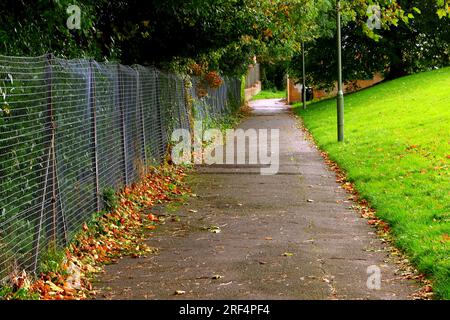 Un lungo sentiero rettilineo in autunno con erba verde da un lato e una recinzione metallica con foglie autunnali che si raccolgono ai piedi, dall'altro lato. Foto Stock