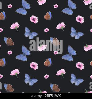 Flying Blue Butterflies e Pink Blooming Anemone. Farfalla di rame scarso, fiore primaverile. Immagine isolata su sfondo nero. Foto Stock