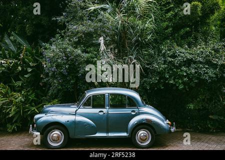 Volkswagen Beetle Car iconica Vintage Old Shaped parcheggiata all'esterno nella contea di Nairobi in Kenya nell'Africa orientale Foto Stock