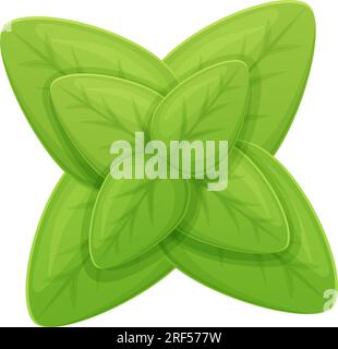 Spezia verde alle erbe di origano. Condimento biologico, concetto culinario. Illustrazione Vettoriale