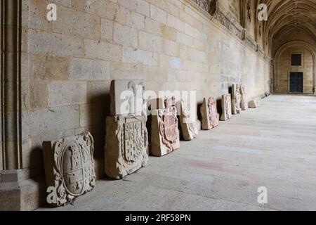 Stemmi scolpiti in pietra nei chiostri della cattedrale Santiago de Compostela Arcicattedrale Basilica Santiago de Compostela Galizia Spagna Foto Stock