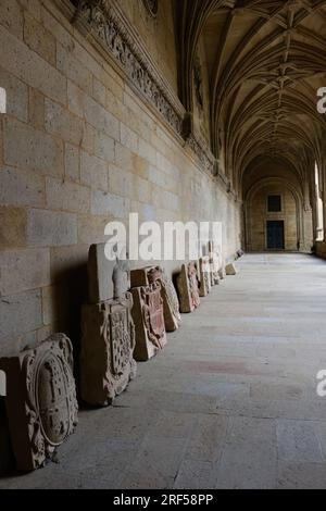 Stemmi scolpiti in pietra nei chiostri della cattedrale Santiago de Compostela Arcicattedrale Basilica Santiago de Compostela Galizia Spagna Foto Stock