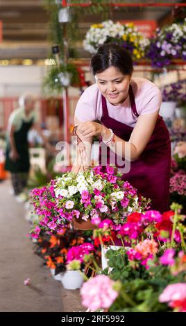 Venditrice di mezza età che tiene calibrachoa in vasi di fiori nel mercato delle piante all'aperto Foto Stock