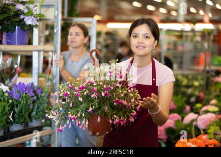 Venditrice asiatica che offre fucsia in vaso in fiore nel negozio di fiori Foto Stock