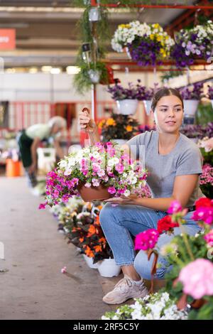 Giovane cliente donna che sceglie calibrachoa in vasi da fiori nel mercato delle piante all'aperto Foto Stock