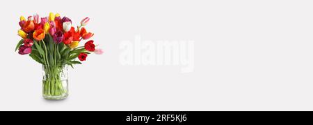 Vaso in vetro con bellissimi tulipani colorati su sfondo bianco, design banner Foto Stock