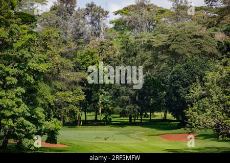 Windsor Golf Country Club Hotel nella Contea di Nairobi City Kenya East Africa Landscapes Playground Golf Center Foto Stock