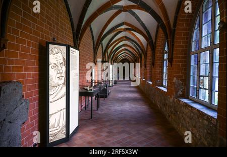 Prenzlau, Germania. 20 luglio 2023. Vista del chiostro dell'ex monastero domenicano di Prenzlau con la sua mostra permanente. Il complesso ospita il Museo di storia culturale di oltre 110 anni, l'Archivio storico della città, la Biblioteca cittadina e il centro eventi "Kulturarche". Il monastero domenicano di Prenzlau è membro della strada europea del mattone gotico. Crediti: Jens Kalaene/dpa/Alamy Live News Foto Stock