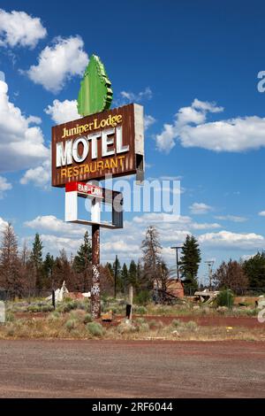 L'insegna al neon è tutto ciò che rimane del Juniper Lodge Motel lungo la US 97 vicino alla città di Macdoel, California. Il motel abbandonato è bruciato durante la T Foto Stock