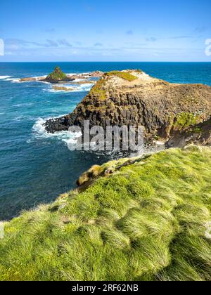 Formazioni rocciose costiere di Pyramid Rock su Phillip Island a Victoria, Australia Foto Stock