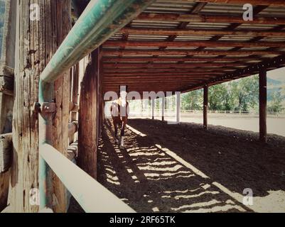 Passeggiate a cavallo all'interno di una stalla in una fattoria situata vicino al fiume Similkameen, Keremeos, Okanagan Valley, British Columbia, Canada. Foto Stock