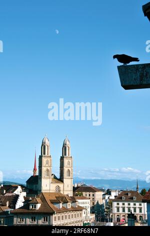 La Luna, il Pidgeon e il Grossmunster - Vista dal Lindenhof Park di Zurigo, Svizzera Foto Stock