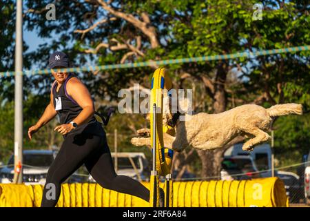 ROYAL DARWIN SHOW, NT AUSTRALIA - 29 luglio 2023: Gara di agilità per cani al Royal Darwin Show 2023. Foto Stock