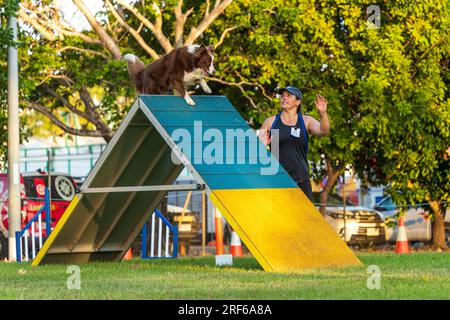 ROYAL DARWIN SHOW, NT AUSTRALIA - 29 luglio 2023: Gara di agilità per cani al Royal Darwin Show 2023. Foto Stock