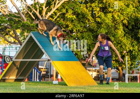 ROYAL DARWIN SHOW, NT AUSTRALIA - 29 luglio 2023: Gara di agilità per cani al Royal Darwin Show 2023. Foto Stock