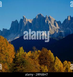 Autunno in Val Villnoess sopra le cime del Geisler e le torri Fermeda i-Italy, Dolomiti Foto Stock