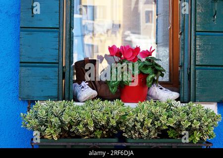 Windows a Burano Foto Stock