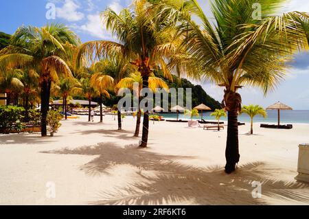 Un resort sulla spiaggia deserta a St Vincent, Caraibi Foto Stock
