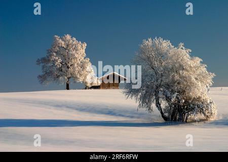 Capanna d'inverno, Baviera, Germania Foto Stock