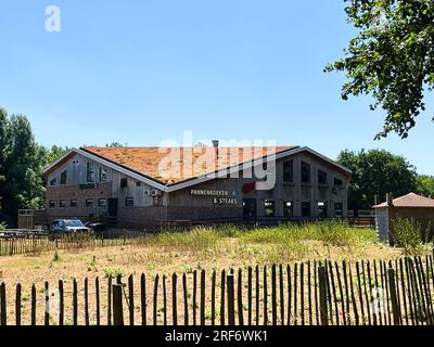 Den Helder, Paesi Bassi. 15 giugno 2023. Tetti di sedum ecologici. Foto di alta qualità Foto Stock