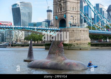 Londra, Regno Unito. Agosto 2023. Un kayaker passa due delle tre pinne giganti di squalo Megalodon che sembrano salire sulla superficie del Tamigi vicino al Tower Bridge per promuovere l'uscita nel Regno Unito, il 4 agosto, della Warner Bros. Film di immagini "Meg 2: The Trench", con Jason Statham. Secondo il Museo di storia naturale, la specie preistorica conosciuta come Otodus megalodon era lo squalo più grande del mondo e uno dei pesci più grandi mai esistiti. Crediti: Stephen Chung / Alamy Live News Foto Stock
