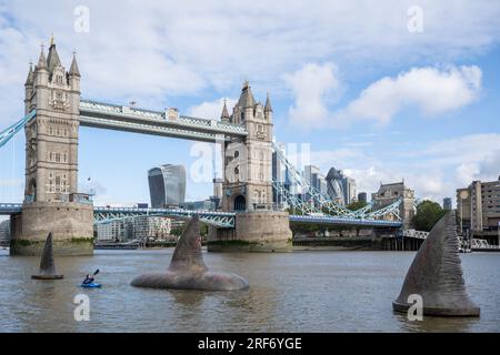 Londra, Regno Unito. Agosto 2023. Un kayak passa tre giganti pinne di squalo Megalodon che sembrano salire sulla superficie del Tamigi vicino al Tower Bridge per promuovere la pubblicazione nel Regno Unito, il 4 agosto, della Warner Bros. Film di immagini "Meg 2: The Trench", con Jason Statham. Secondo il Museo di storia naturale, la specie preistorica conosciuta come Otodus megalodon era lo squalo più grande del mondo e uno dei pesci più grandi mai esistiti. Crediti: Stephen Chung / Alamy Live News Foto Stock