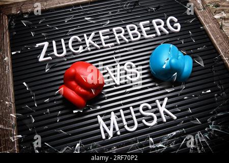 FOTOMONTAGE, Auf einer Tafel mit Boxhandschuhen steht Zuckerberg vs Musk Foto Stock