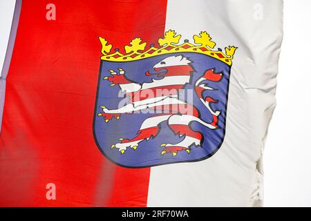 Wehende Fahne des deutschen Bundeslandes Hessen Foto Stock