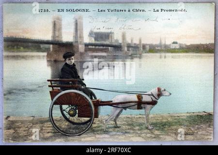 En Sologne, voiture un chien, la promenade. Carte postale ancienne, photographie colorisee debutto 20e siecle de L.Marchand. Foto Stock