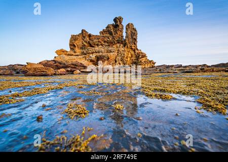 Vista ad angoli bassi di una formazione rocciosa costiera a Inverloch a Gippsland, Victoria, Australia Foto Stock