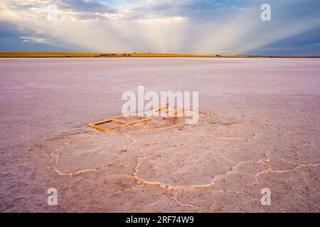 Vista a bassa angolazione dei rottami metallici ricoperti di sale sul lago Tyrrell a Sealake, Victoria, Australia Foto Stock