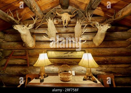 La cabina di Carter, l'interno girato Old Trail Town, Cody, Wyoming, Stati Uniti d'America Foto Stock