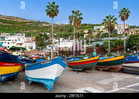 bunte Fischerboote im Hafen von Camara de Lobos, Funchal, Insel Madeira, Portogallo Foto Stock