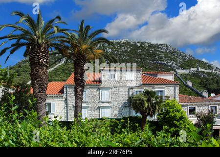 Ston ist eine Kleinstadt auf der Halbinsel Peljesac im Süden Kroatiens. Sie gehört zur Gespanschaft Dubrovnik-Neretva. Foto Stock