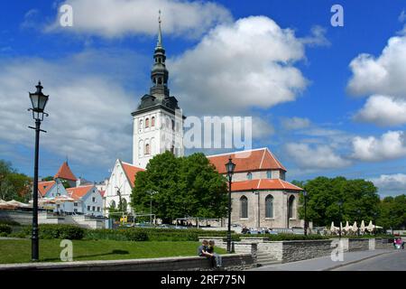 San Nicola Kirche, Nikolaikirche, Altstadt, Tallinn, Estland, Baltikum, Europa, Niguliste kirik, Estland, Foto Stock