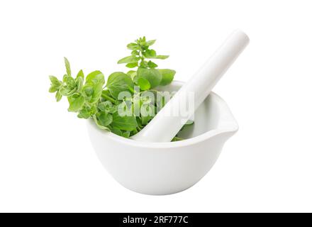 Erbe fresche in mortaio e pestello isolati su fondo bianco. Medicina alternativa a base di erbe Foto Stock