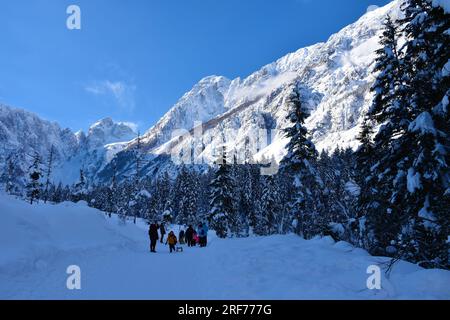 Tamar, Slovenia - gennaio 26 2023: Montagne sopra la valle di Tamar vicino a Ratece a Gorenjska, Slovenia, con il monte Jalovec e la gente sul sentiero Foto Stock