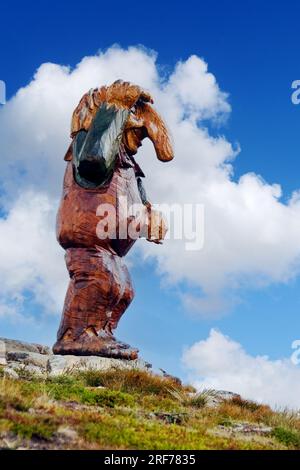 Troll norvegese dal nord Hardangervidda, Buskerud county. Foto Stock