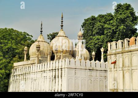 Moti Masjid (Moschea delle Perle), Red Fort Complex, nuova Delhi, India Foto Stock