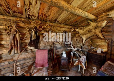 Monument Hill Homestead Cabin, foto interne Old Trail Town, Cody, Wyoming, Stati Uniti d'America Foto Stock